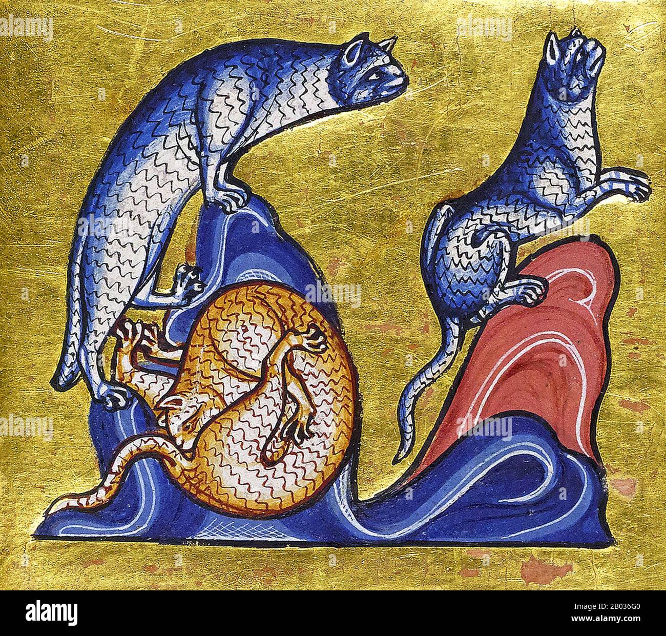 The Aberdeen Bestiary (Aberdeen University Library, Univ Lib. MS 24) è un testario del manoscritto illuminato inglese del 12th secolo che è stato elencato per la prima volta nel 1542 nell'inventario della vecchia biblioteca reale al Palazzo di Westminster. Le informazioni sulle sue origini e sul suo patrono sono circostanziali. Probabilmente proviene dal 12th secolo ed era di proprietà di un ricco patrono ecclesiastico. Foto Stock