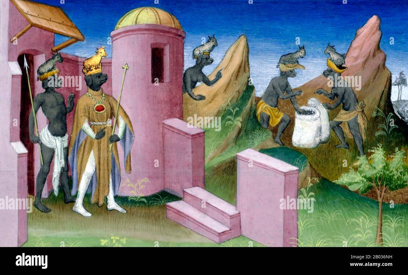 I viaggiatori medievali Giovanni da Pian del Carpino e Marco Polo menzionano entrambi i cinocephali. Giovanni scrive degli eserciti di Ogedei Khan che incontrano una razza di doghe che vivono a nord Del Dalai-Nor (Oceano Nord), o Lago Baikal. Il Polo's Travels menziona i barbari guidati da cani sull'isola di Angamanain, o le Isole Andamane. Per Polo, anche se queste persone crescono spezie, sono tuttavia crudeli e 'sono tutti come grandi cani mastiff'. Secondo Henri Cordier, la fonte di tutte le favole dei barbari guidati da cani, sia europei, arabi o cinesi, si trova nell'Ale Foto Stock
