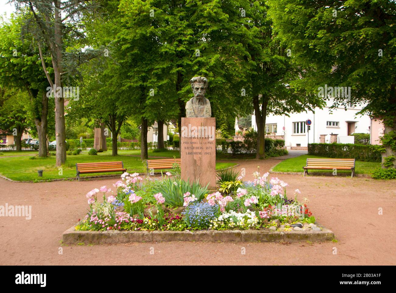 Albert Schweitzer, OM (4 gennaio 1875 – 4 settembre 1965) è stato un teologo, organista, scrittore, umanitario, filosofo e medico alsaziano. Schweitzer ha ricevuto il premio Nobel per la pace nel 1952 per la sua filosofia di "Rispetto per la vita". La sua filosofia è stata espressa in molti modi, ma più notoriamente nella fondazione e nel sostegno dell'Ospedale Albert Schweitzer a Lambaréné, nella parte dell'Africa equatoriale francese che ora è il Gabon. Studiò la musica del compositore tedesco Johann Sebastian Bach e influenzò Il Movimento di Riforma dell'organo. Foto Stock