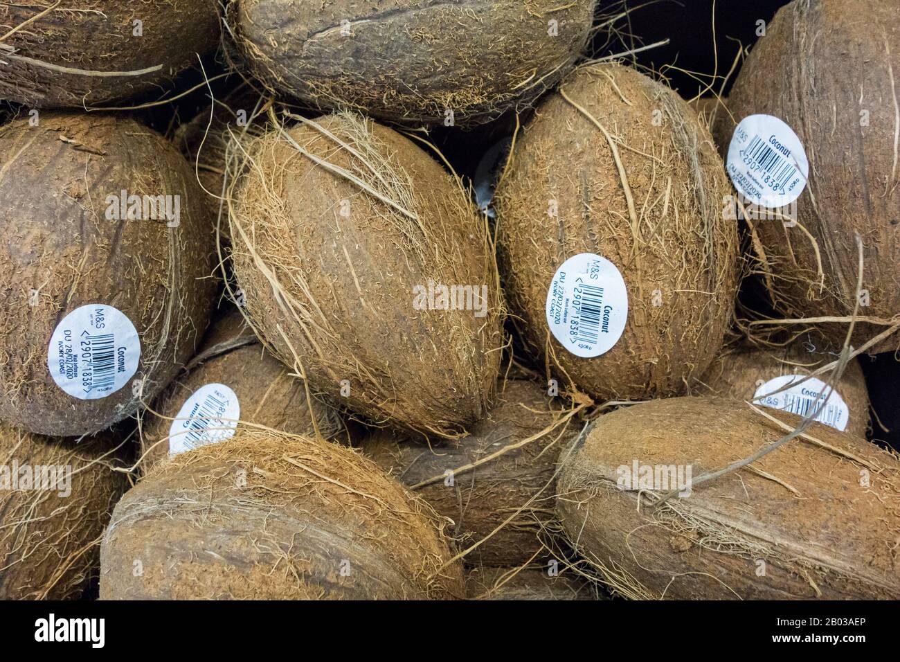 Primo piano di conchiglie di cocco pelose in esposizione in un supermercato nel Regno Unito Foto Stock