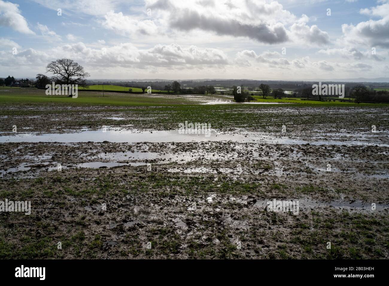 Guardando fuori sopra i campi allagati e waterlogged di Shropshire dopo la tempesta Dennis. Fango e piscine d'acqua vicino alla macchina fotografica e al washwater oltre. Foto Stock