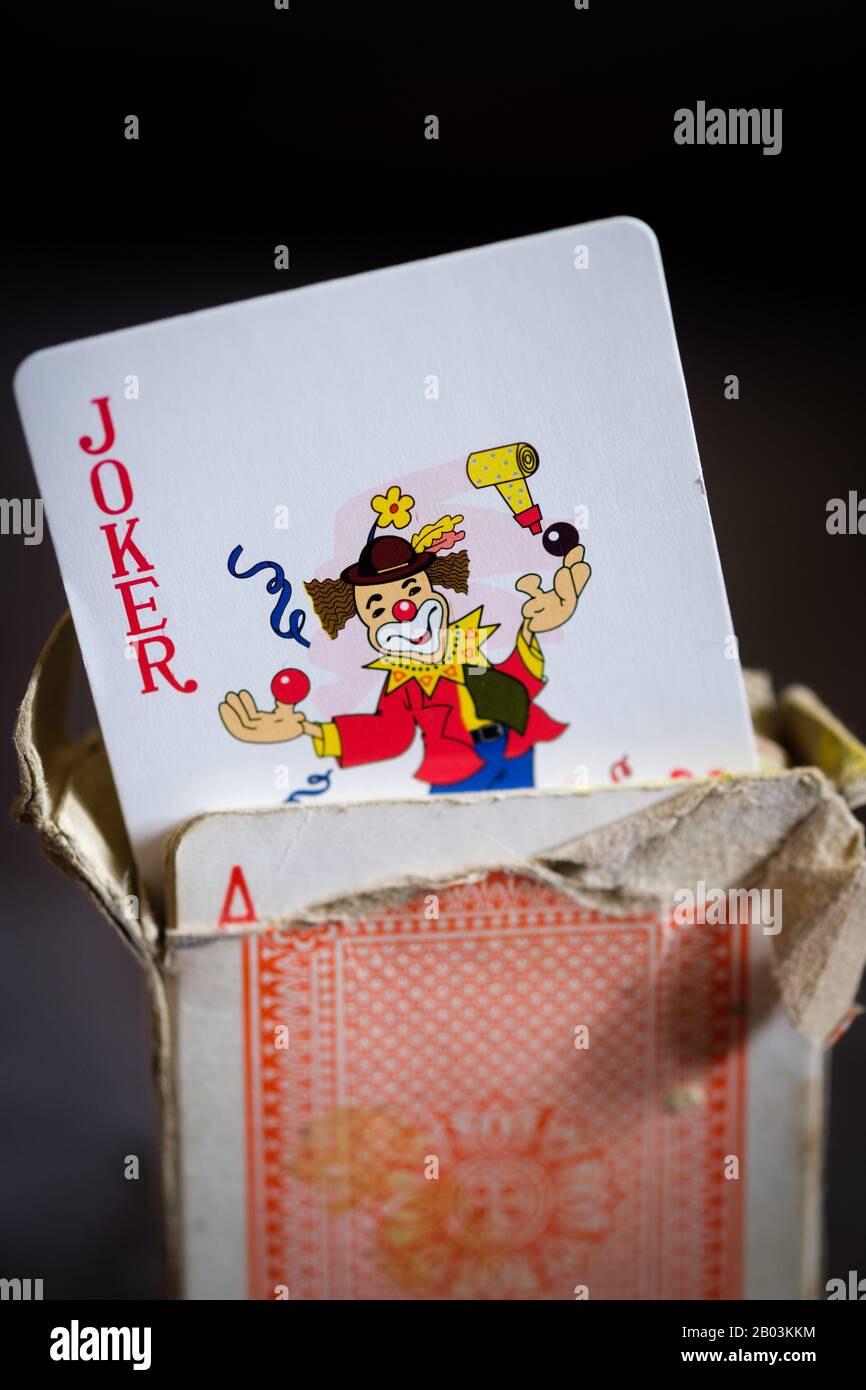 Il Joker nel Pack Foto Stock