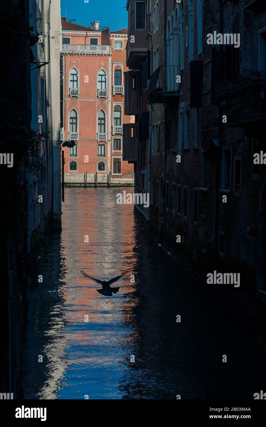 Immagini di Venezia Foto Stock