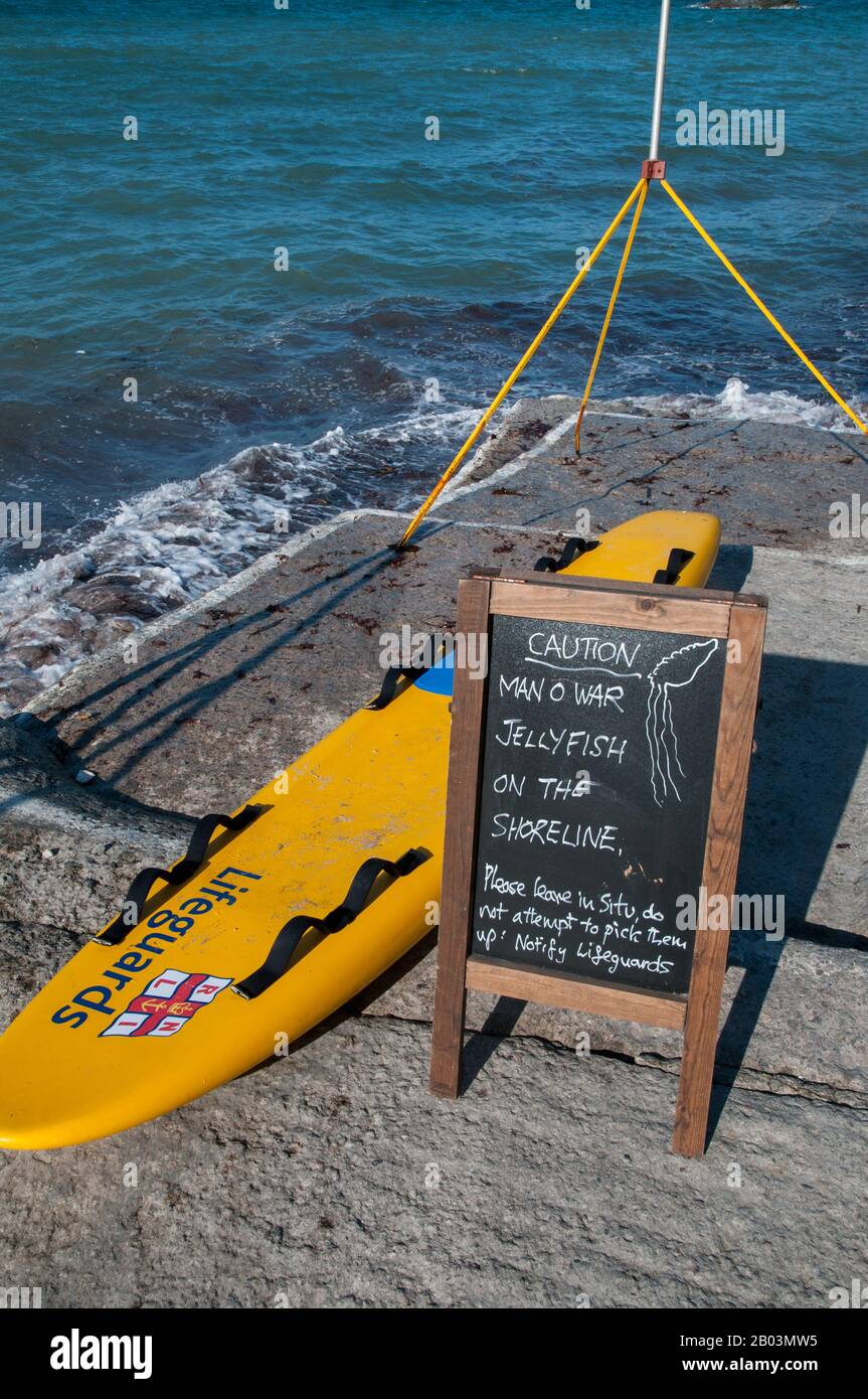 Surfboard RNLI e una bacheca di avviso nuotatori e surfisti di meduse portoghese Man of War nelle acque lungo la costa del patrimonio di sta Agnes a Corn Foto Stock