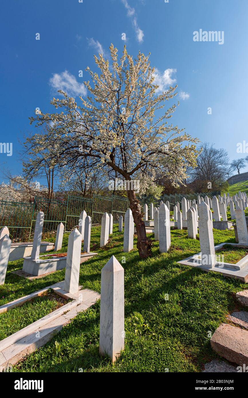 Cimitero musulmano dedicato alle vittime della guerra bosniaca, a Sarajevo, Bosnia-Erzegovina Foto Stock