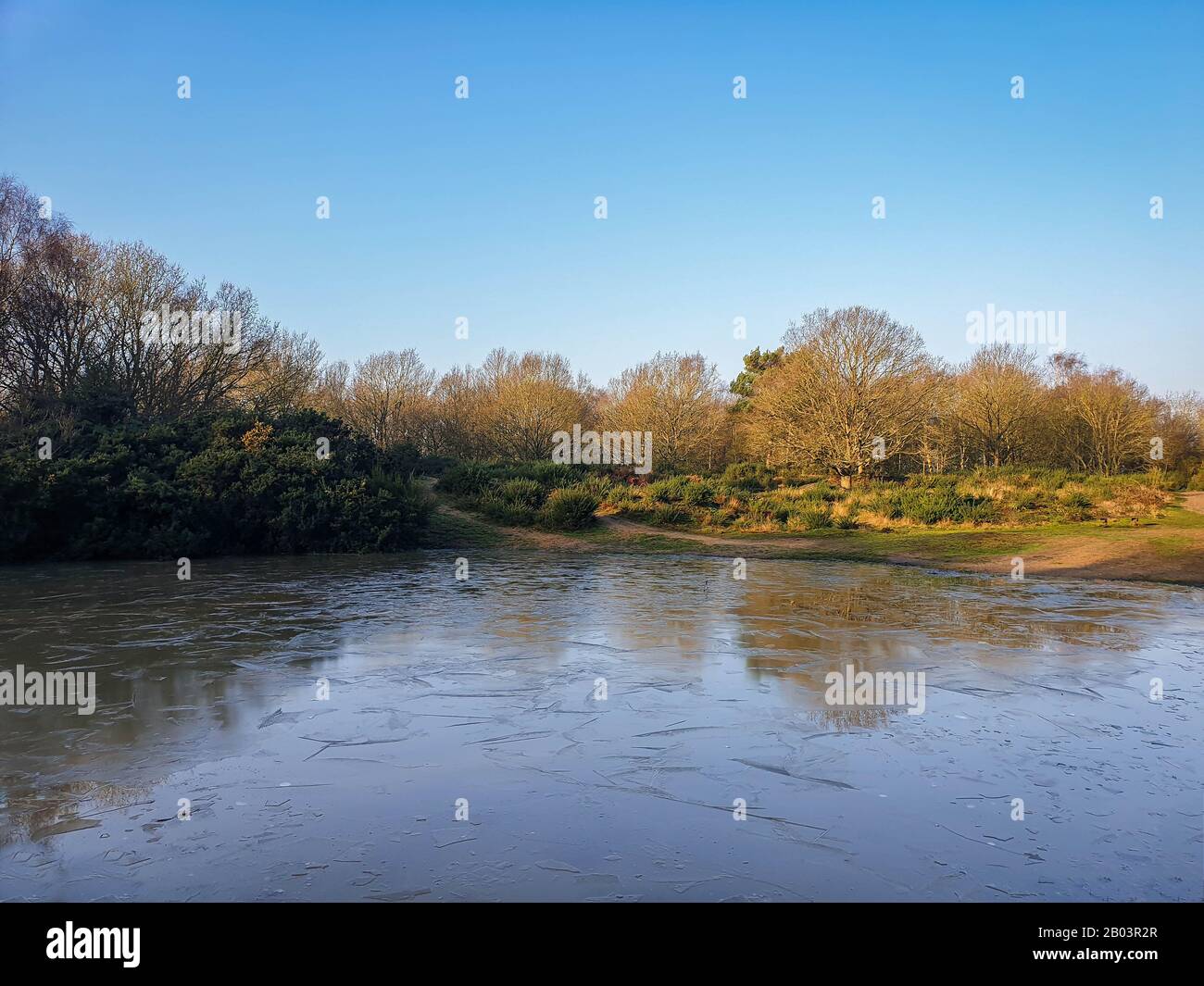 Bello, scatto panoramico di uno stagno di Icey su un Heath rurale Foto Stock