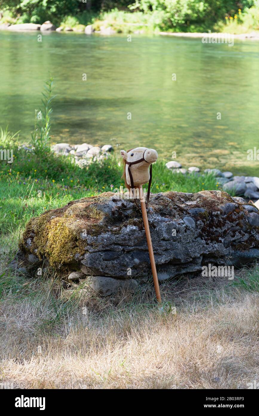 Un cavallo hobby abbandonato su una riva del fiume. Foto Stock