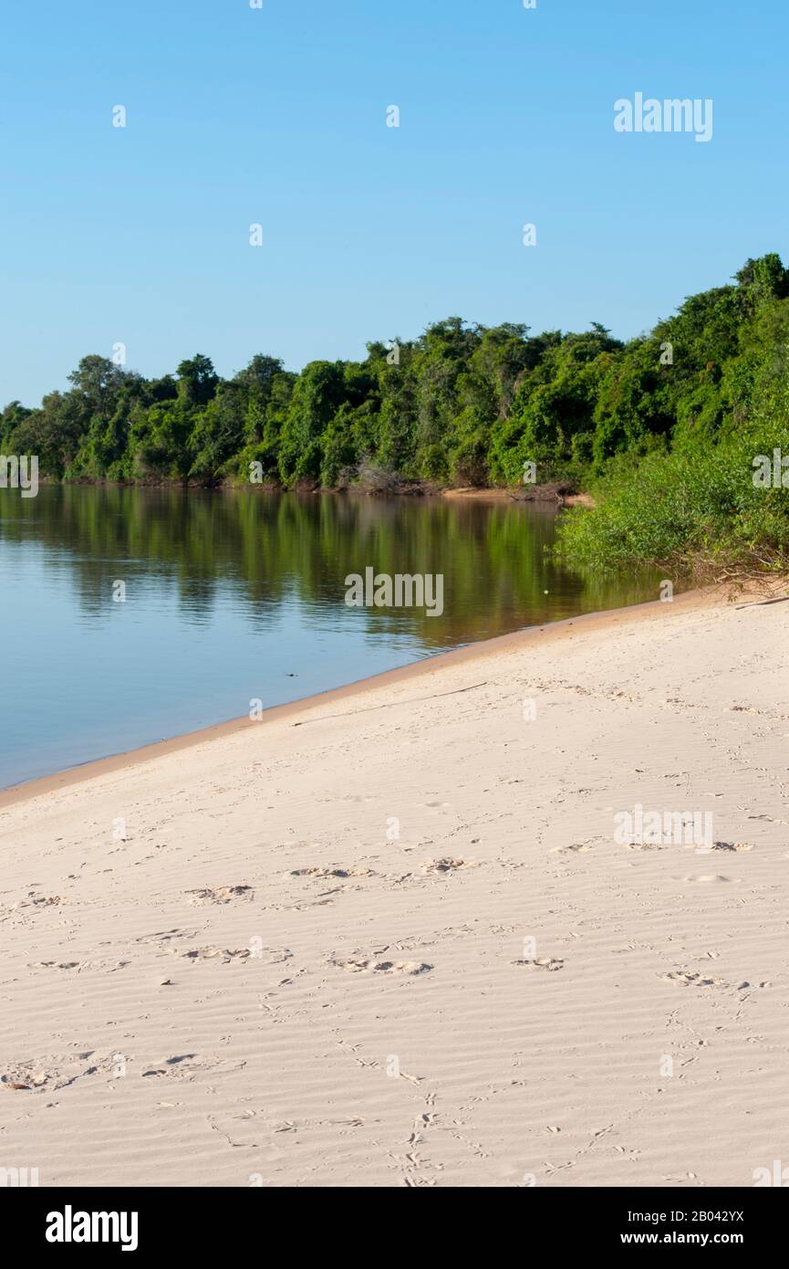 Un banco di sabbia in un affluente del fiume Cuiaba vicino a Porto Jofre nel Pantanal settentrionale, nella provincia del Mato Grosso in Brasile. Foto Stock