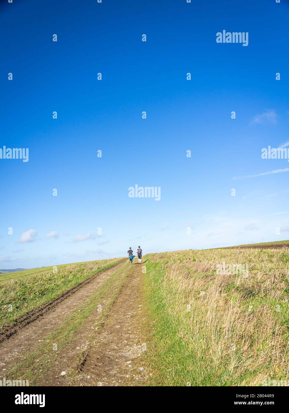 Lunghi corridori lontani che scricchiano una collina Foto Stock