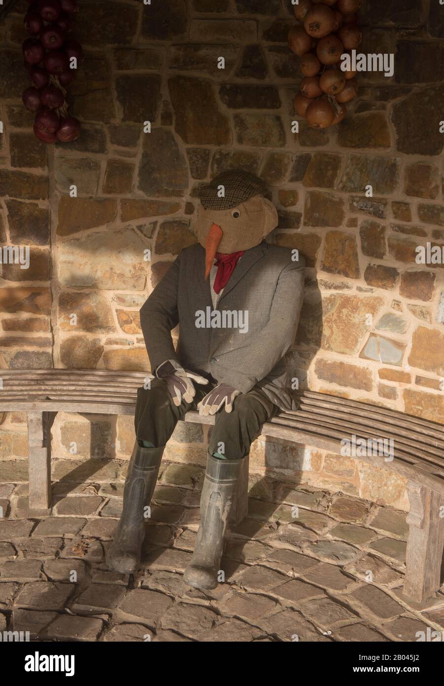 Scarecrow Vestito in vestiti di campagna Seduta su una panca di legno in una Casa estiva di pietra nel Giardino di verdure a Rosemoor in Devon rurale, Inghilterra, Regno Unito Foto Stock