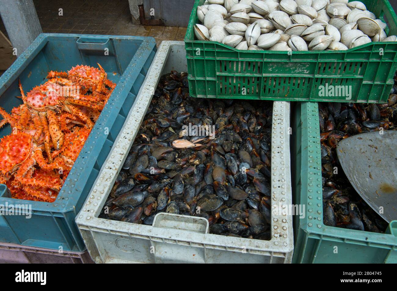 Mercato scena con vongole, cozze e granchio re in vendita nella sala del mercato di Angelmo, Puerto Montt nel Cile meridionale. Foto Stock