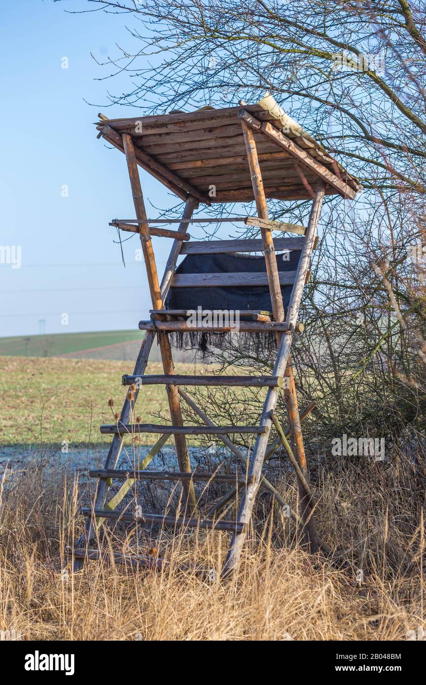 Punto di osservazione della fauna selvatica - cieco rialzato o torre di caccia vicino al prato Foto Stock
