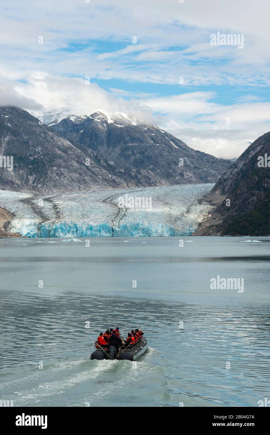 Tuffati in barca con i turisti che navigano davanti alla faccia glaciale del ghiacciaio Dawes, un ghiacciaio di marea, Endicott Arm, Tongass National Forest, Southeast A. Foto Stock