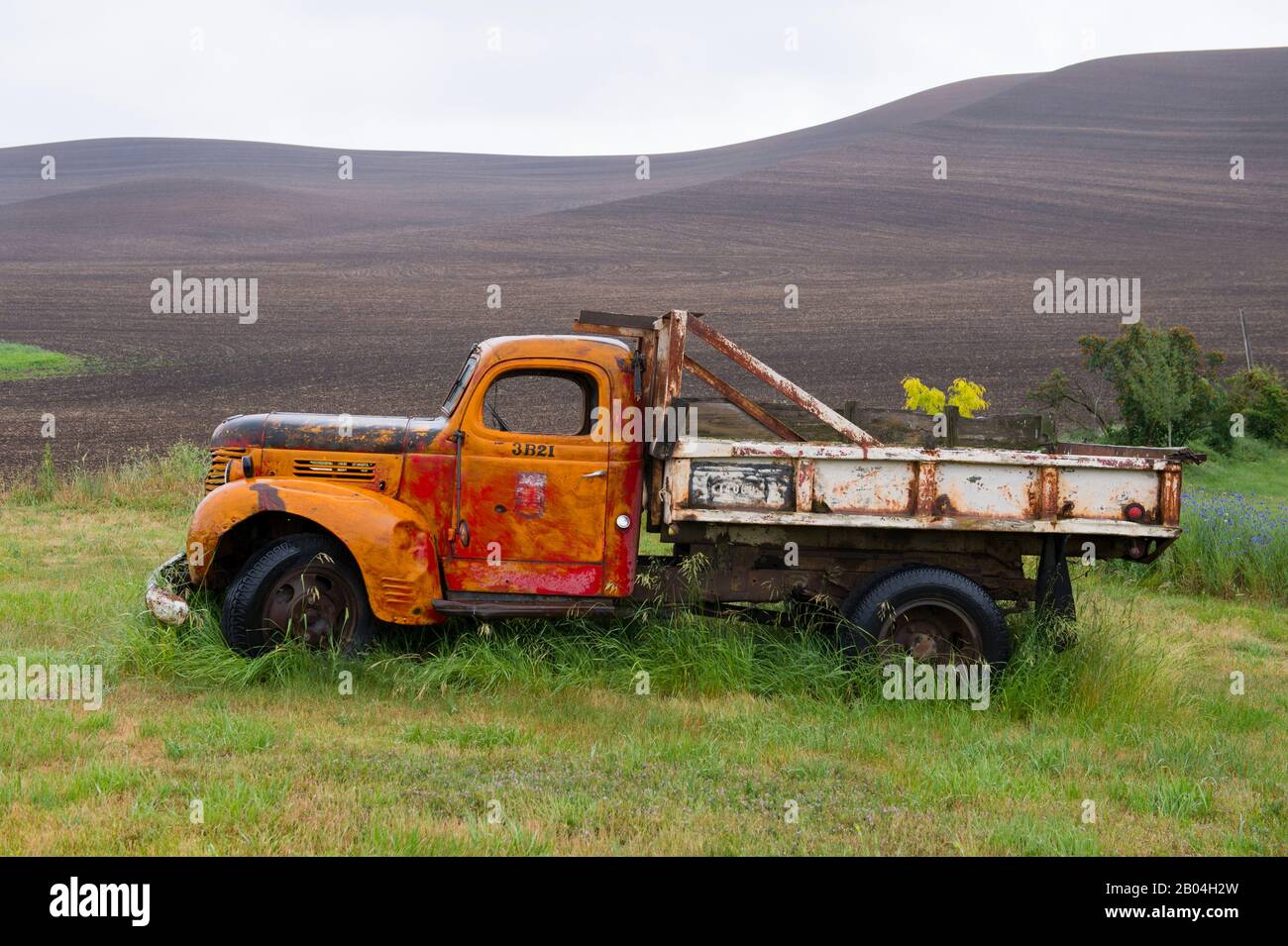 Vecchio camion nel Palouse vicino a Colfax, Eastern Washington state, USA. Foto Stock