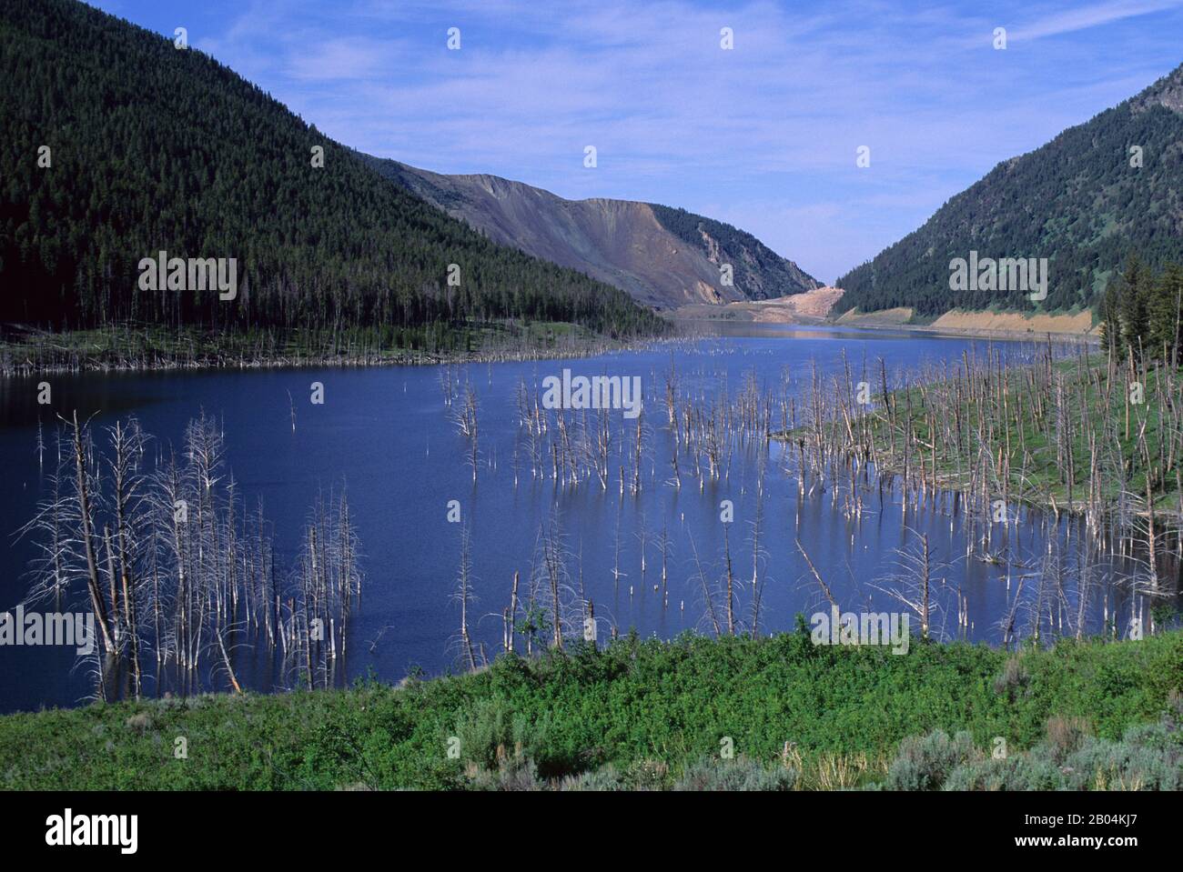 Vista di un serbatoio d'acqua con alberi morti nel Montana occidentale negli Stati Uniti. Foto Stock