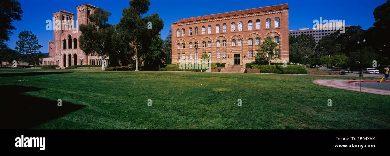 Prato di fronte a una Royce Hall e Haines Hall, Università della California, Città di Los Angeles, California, Stati Uniti Foto Stock