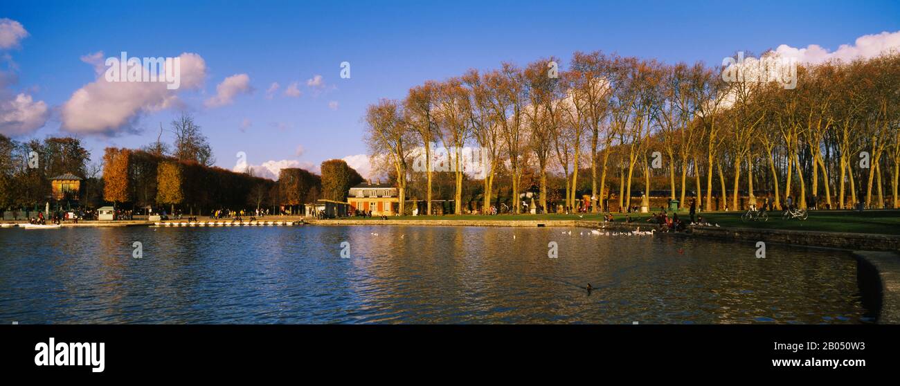 Alberi lungo un lago, Chateau de Versailles, Versailles, Yvelines, Francia Foto Stock