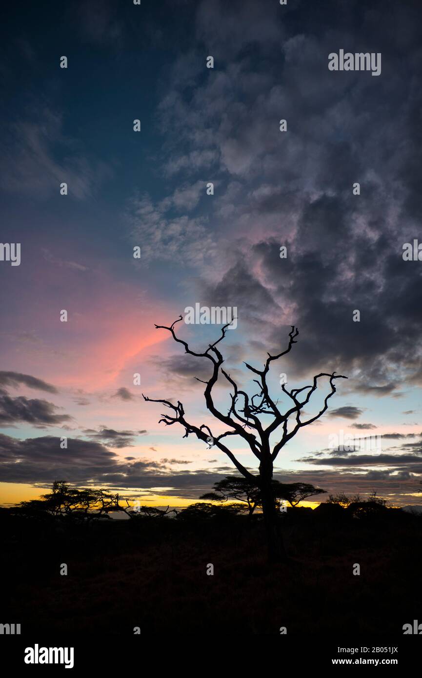 Alba Al Lago Masek Luxury Tented Safari Camp Nella Ngorongoro Conservation Area A Serengeti Sud, Tanzania. Foto Stock