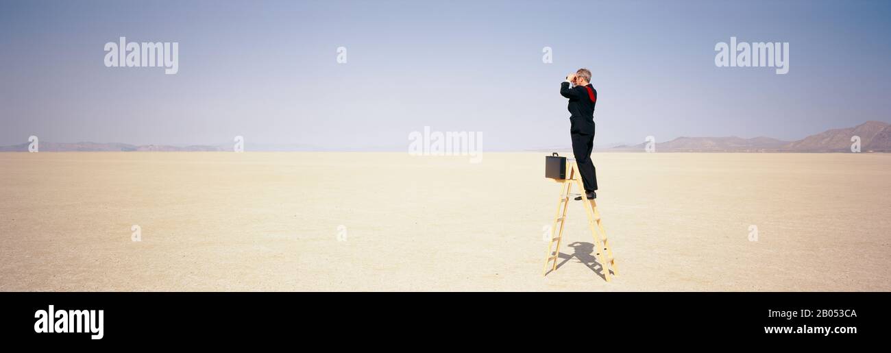 Uomo d'affari in piedi su una scala in un deserto guardando attraverso il binocolo, Black Rock Desert, Nevada, USA Foto Stock