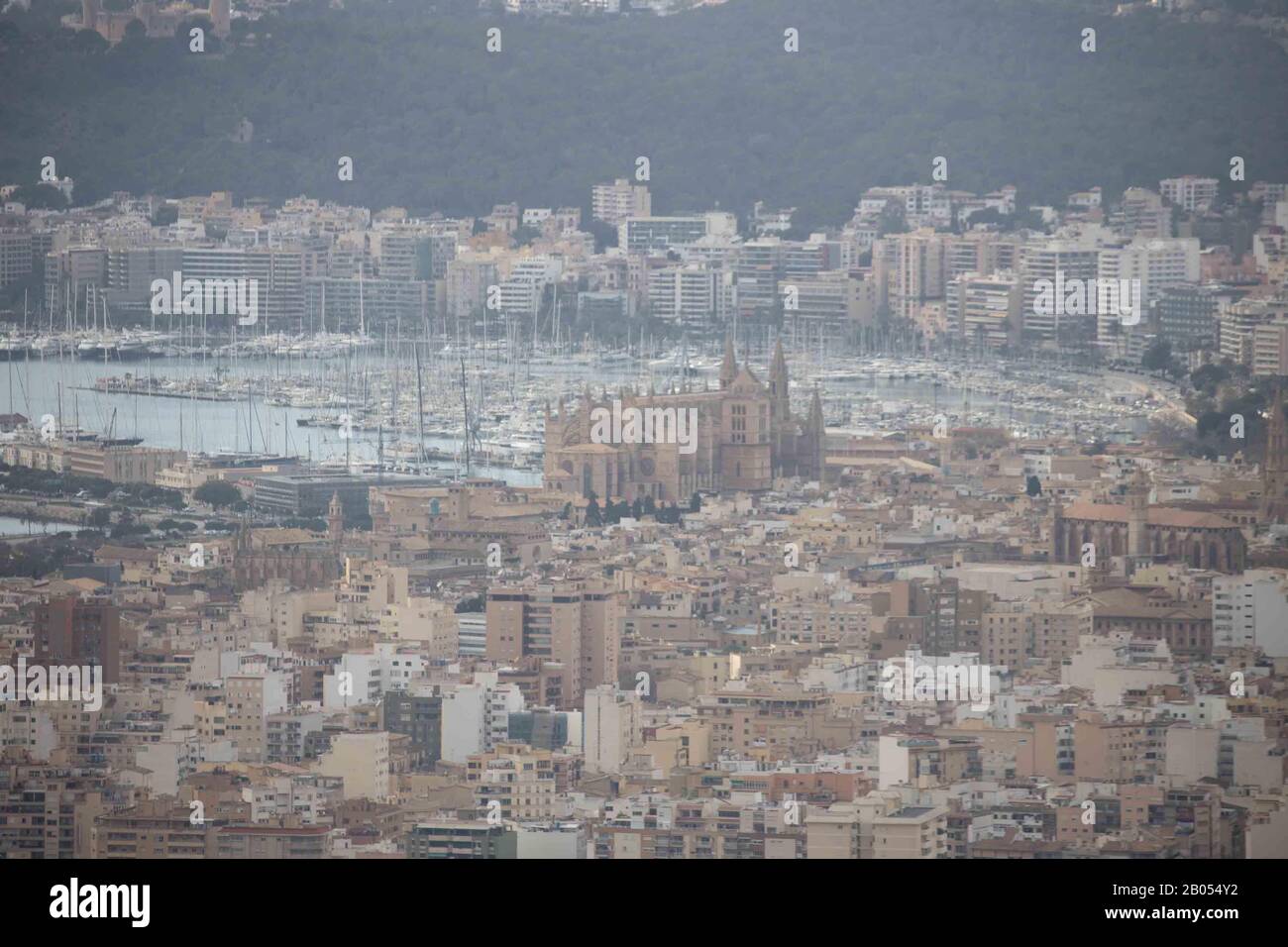 Luftbild, Ortsansicht Und Hafen Port De Palma, Santa Iglesia Catedral De Mallorca, Cattedrale Di Palma, Canamunt, Palma, Mallorca, Balearische Inseln Foto Stock