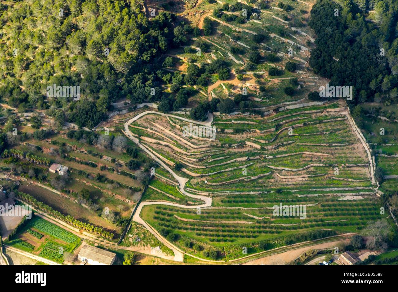 Foto aerea, strada a serpentina, paesaggio terrazzato, Valldemossa, Mallorca, Isole Baleari, Spagna, Europa, ES, Espana, foto aerea, fotografia aerea Foto Stock