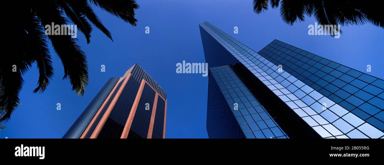 Vista ad angolo basso dei grattacieli, Paseo De la Reforma, Città del Messico, Messico Foto Stock