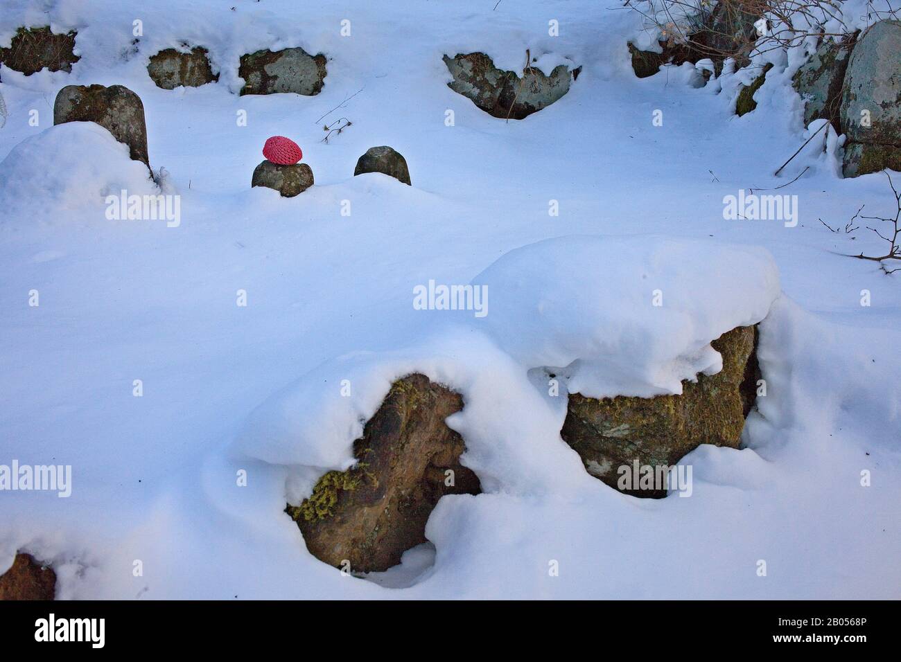 Narabijizo, Bakejizo, jizo statua di pietra,buddista divinità custode,uno dei 70 statue allineate in Kanmangafuchi abisso, Nikko, Giappone Foto Stock