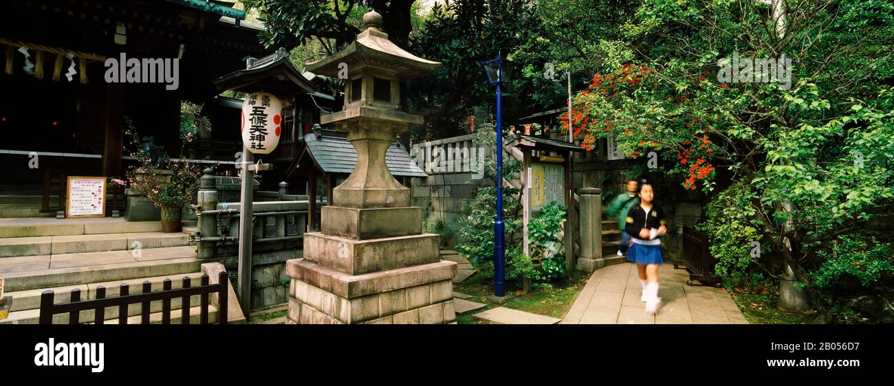 Due persone che camminano in un parco, Ueno Park, Prefettura di Tokyo, Kanto Regione, Giappone Foto Stock