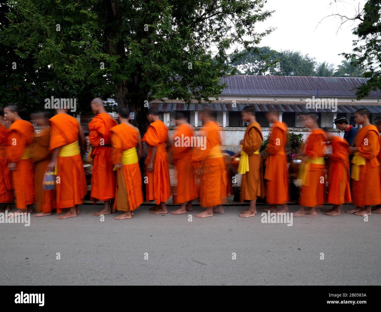 Monaci che ricevono elemosina, Luang Phabang, Laos Foto Stock