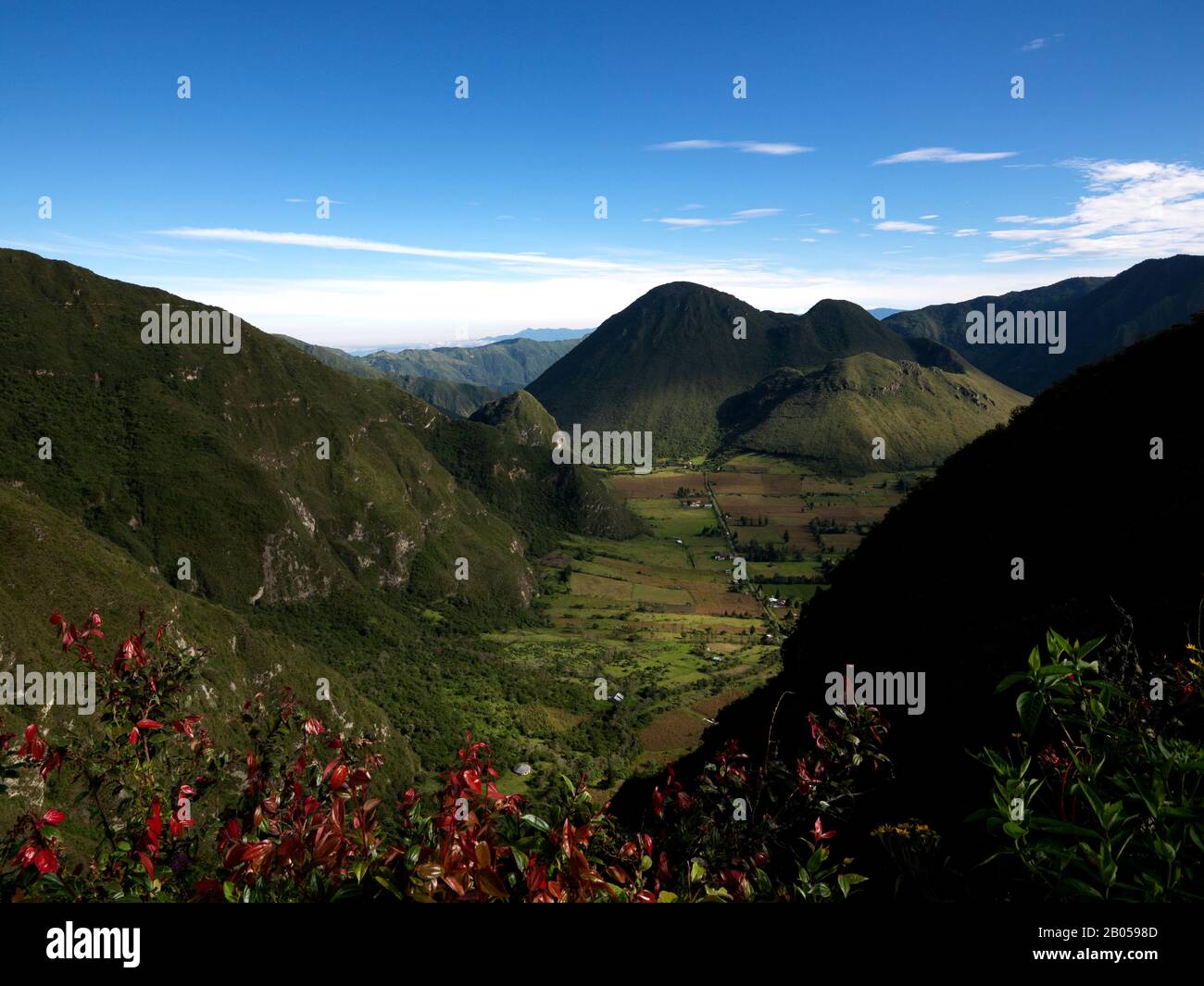 Campo coltivato circondato da colline, Pululahua vulcano, Cotopaxi Parco Nazionale, Quito, Ecuador Foto Stock