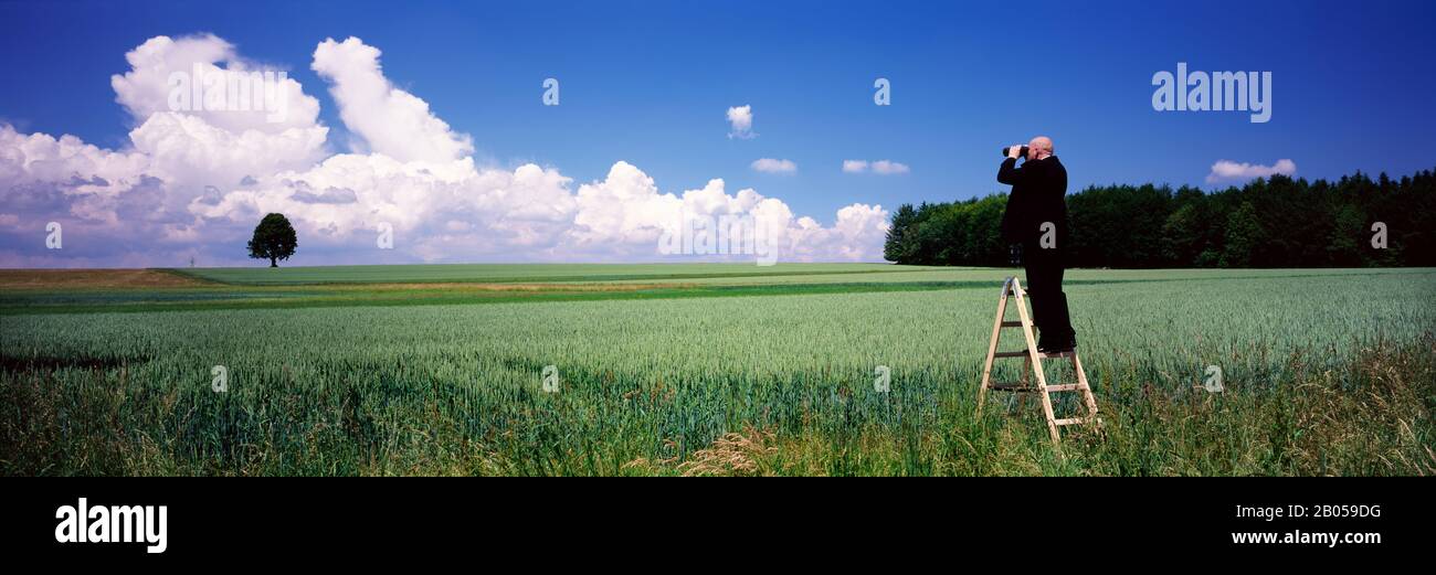 Uomo in piedi su una scala a gradini che guarda attraverso il binocolo, Baden-Wurttemberg, Germania Foto Stock