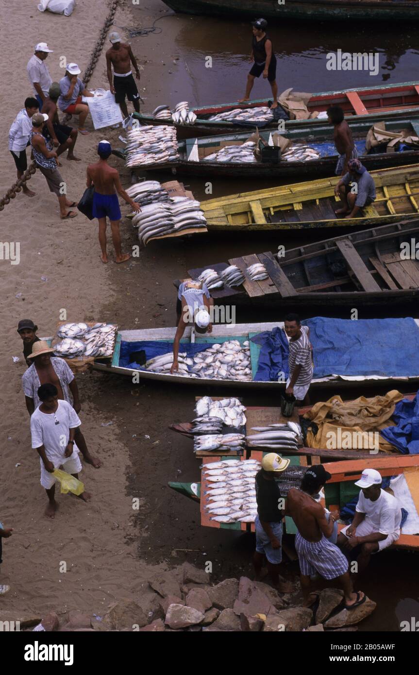 BRASILE, AMAZZONIA, MANAUS, SCENA PORTUALE, PESCATORI CHE VENDONO PESCE FRESCO Foto Stock