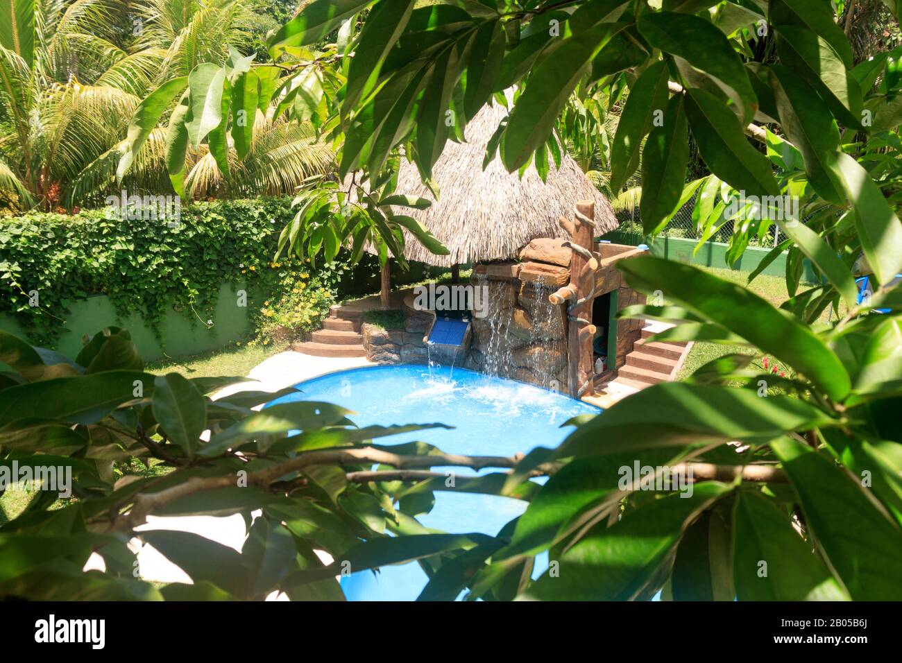 vista sulla piscina d'acqua attraverso foglie verdi Foto Stock