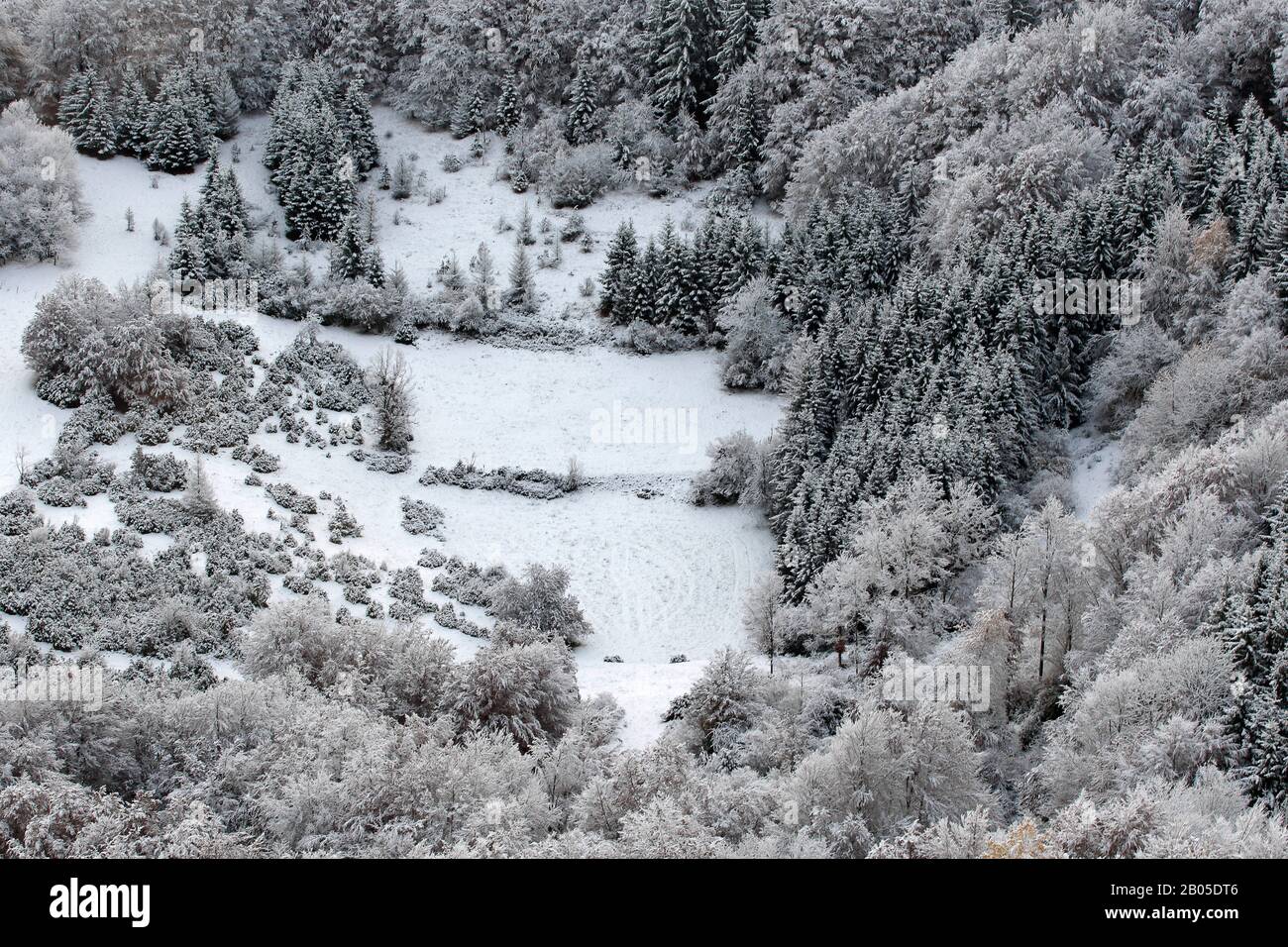 Parco Nazionale Del Vercors In Inverno, Francia, Parco Nazionale Del Vercors, Alpi Foto Stock