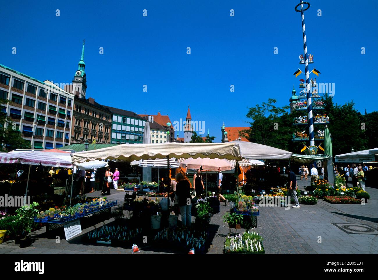 GERMANIA, BAVIERA, MONACO DI BAVIERA, VIKTUALIENMARKT, MERCATO GIORNALIERO, MAYPOLE Foto Stock