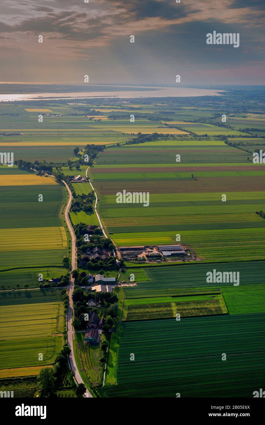 Paesaggio culturale vicino a Neuendorf presso la zona paludosa di Elbe, sulla destra Neuendorfer Wettern, veduta aerea, Germania, Schleswig-Holstein Foto Stock