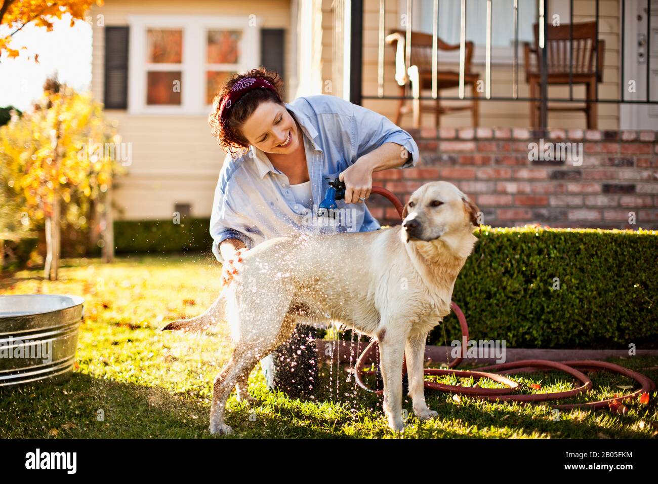 Metà donna adulta lavando il suo cane nel cortile. Foto Stock