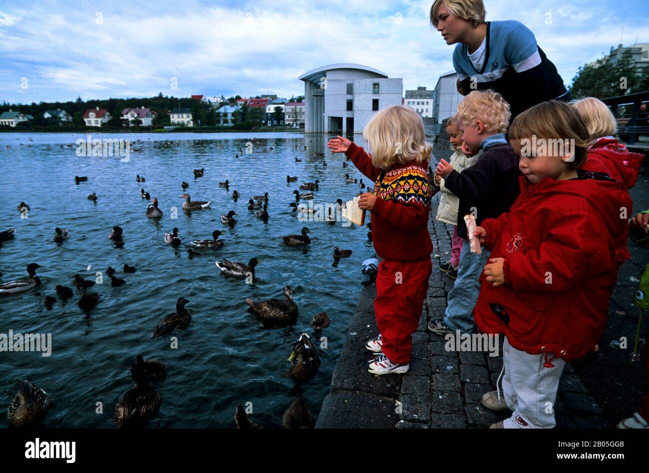 ISLANDA, REYKJAVIK, STAGNO DI TJORNIN, KINDERGARTENERS CHE ALIMENTA ANATRE Foto Stock