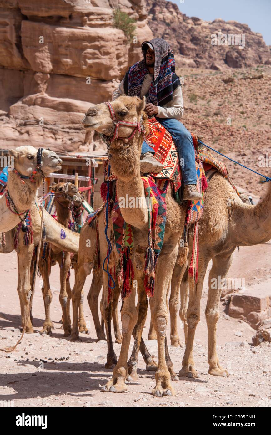 Giordania, Petra (UNESCO) Typial camel autisti. Foto Stock