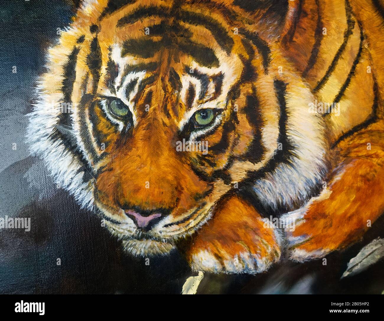 Pittura di tigre quasi finita, pittura è dall'artista australiano, Michele Domonkos. Release disponibile su richiesta Foto Stock