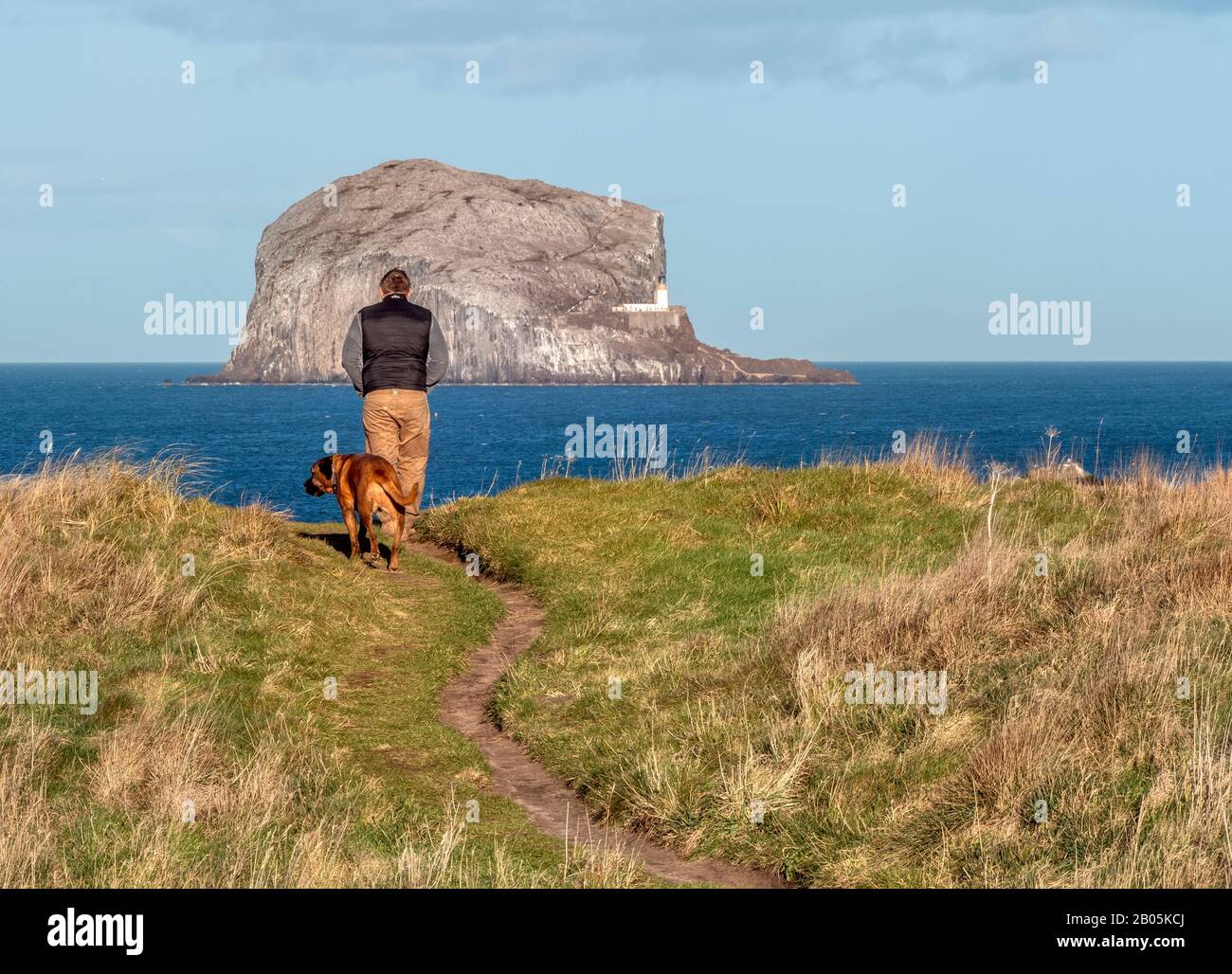 Uomo che cammina il suo cane su un sentiero costiero con il Bass Rock sullo sfondo, East Lothian, Scozia, Regno Unito. Foto Stock