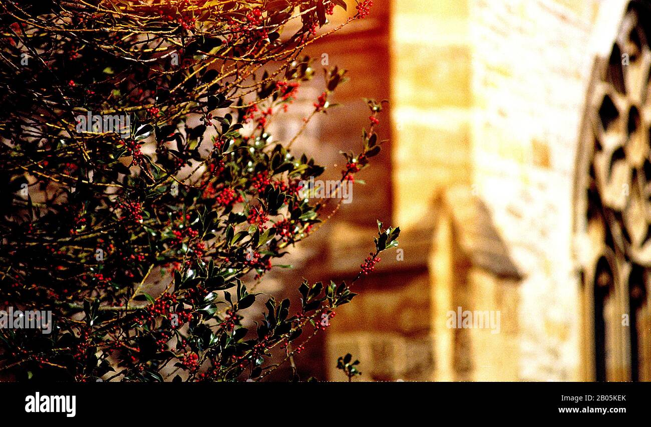 chiesa della santissima trinità stratford upon avon luogo di sepoltura di william shakespeare warwickshire regno unito Foto Stock