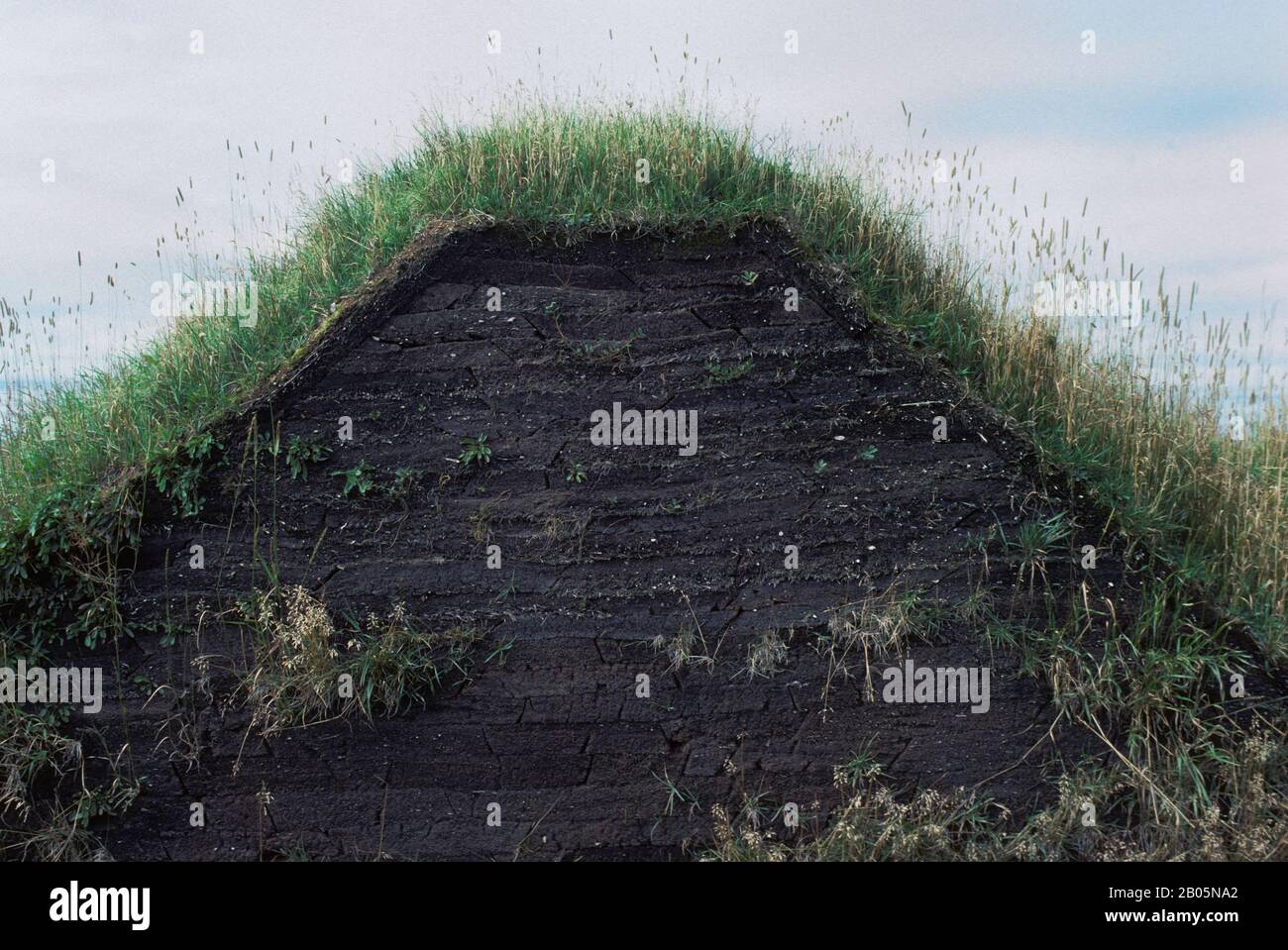 CANADA, TERRANOVA, L'ANSE AUX MEADOWS NHP, REPLICHE DI CASE DI NORSE DA 1000 ANNI FA, DETTAGLIO DI SOD MURO Foto Stock