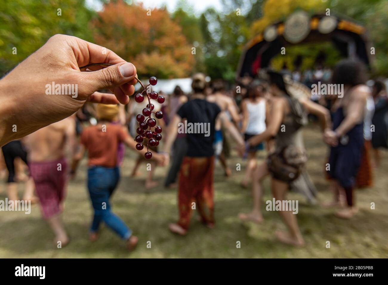 Un primo piano fuoco selettivo di una mano che tiene frutti di bosco selvatici come la gente tiene le mani, e danza che celebra la terra e la natura madre in background con spazio copia Foto Stock