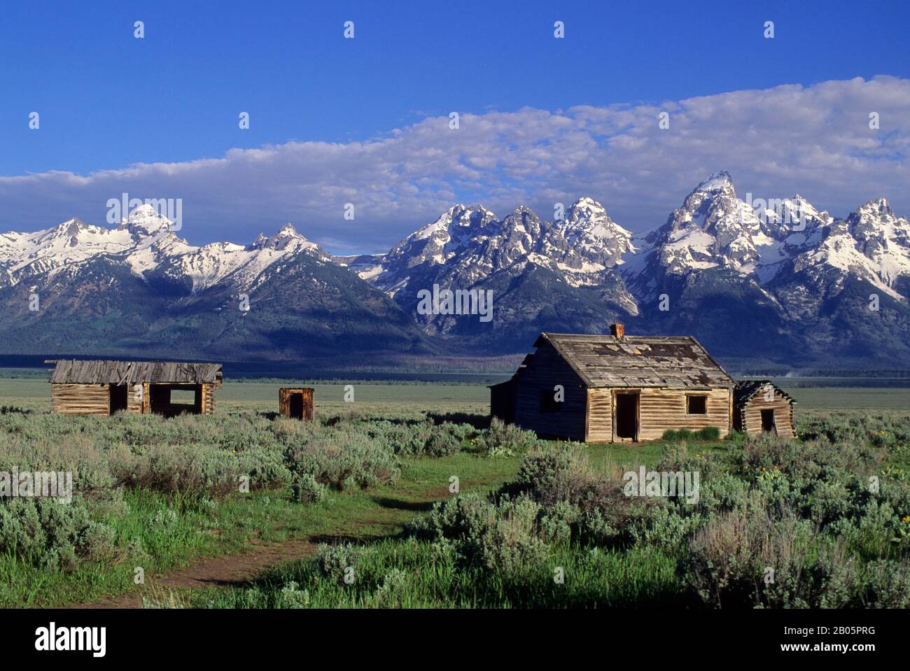 USA, WYOMING, GRAND TETON NATIONAL PARK, TETON RANGE, PFEIFFER'S HOMESTEAD, SAGEBRUSH Foto Stock