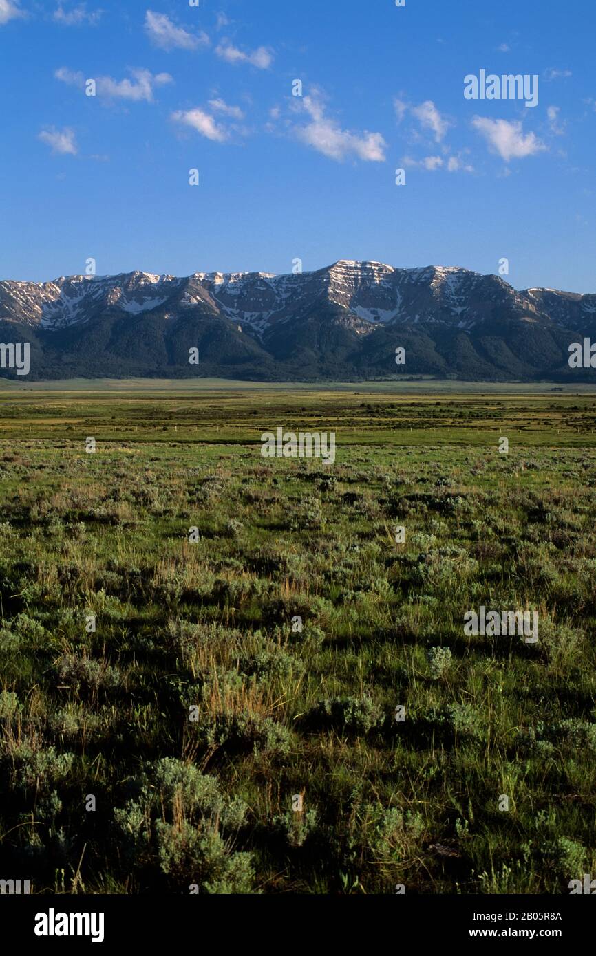 USA, MONTANA, RED ROCK LAKES NATIONAL WILDLIFE REFUGE, CENTENNIAL MOUNTAINS, BACKGROUND Foto Stock