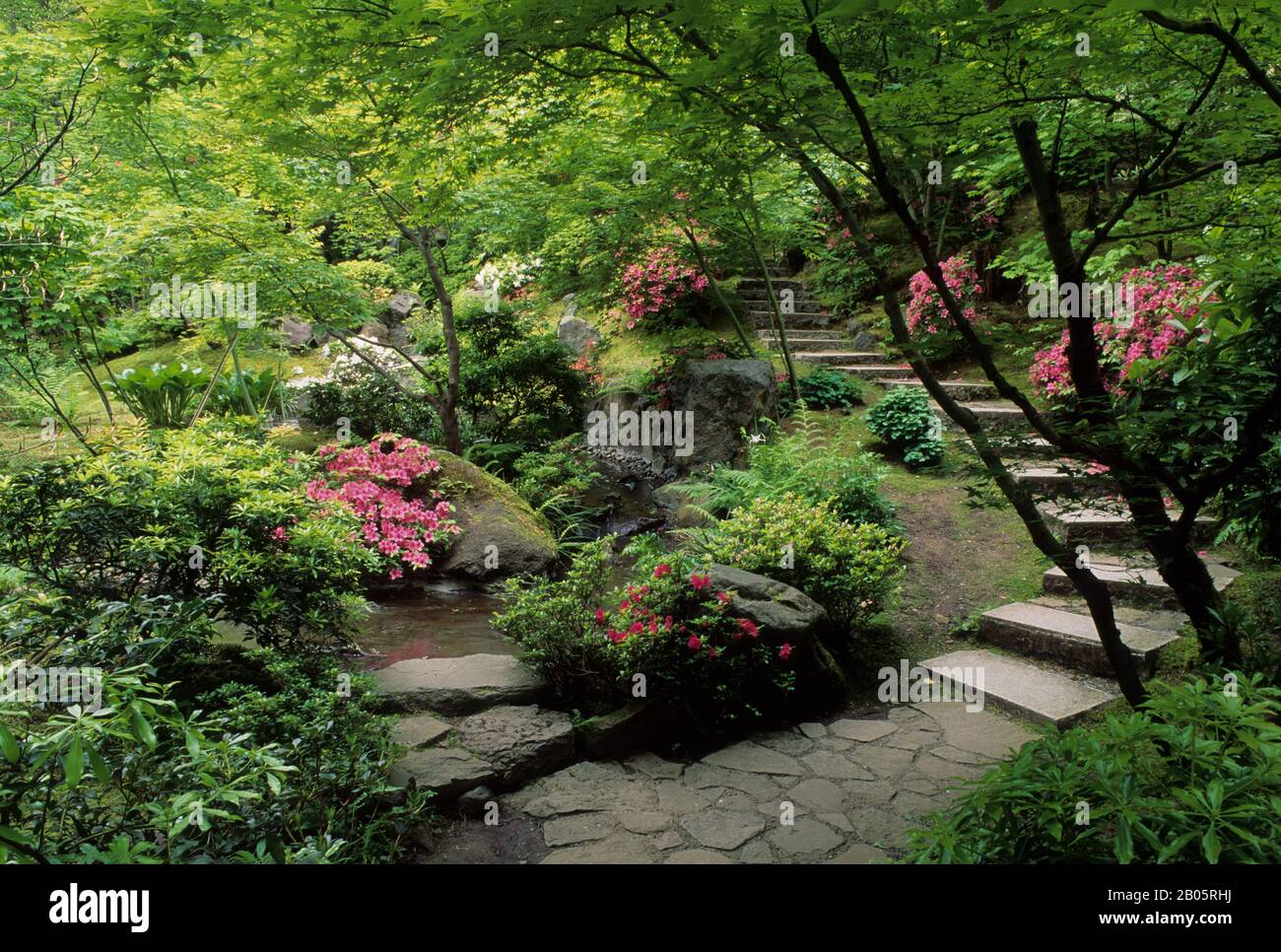 Una passerella in pietra conduce attraverso la sezione Natural Garden del Giardino Giapponese a Portland, Oregon, USA Foto Stock
