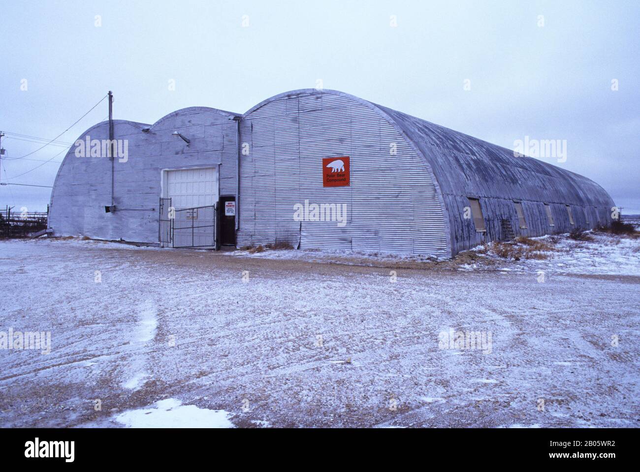 CANADA, MANITOBA, CHURCHILL POLAR BEAR COMPOUND Foto Stock