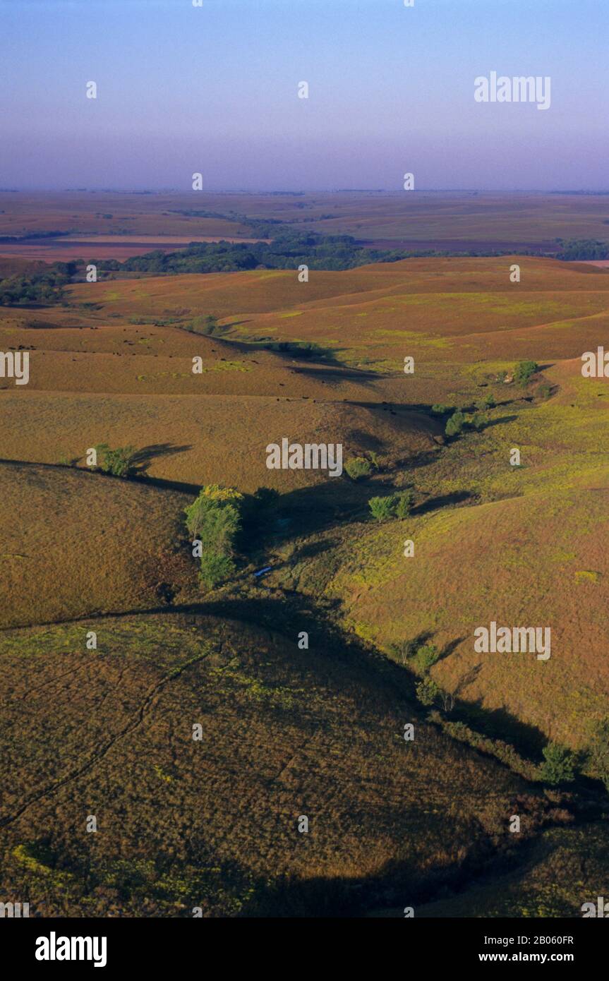 USA, KANSAS, COLLINE DI SELCE, VICINO ALLE CASCATE DI COTTONWOOD, VISTA AEREA DI TALLGRASS PRAIRIE Foto Stock