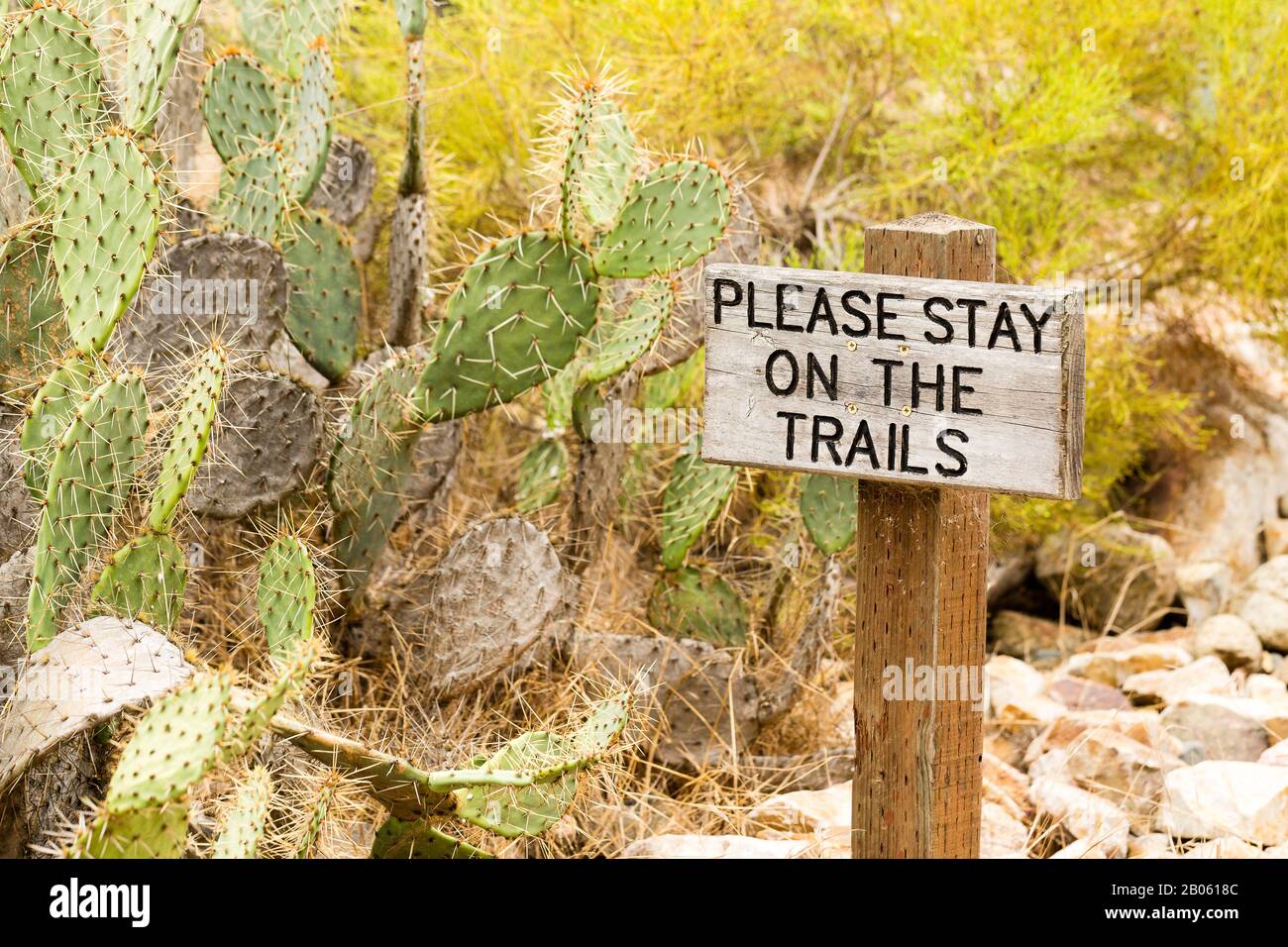 Si prega Di Rimanere fuori dai sentieri segno con Desert Cactus background Foto Stock